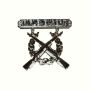 EMBLEEM METAAL RIFLE EXPERT SHOOTING BADGE